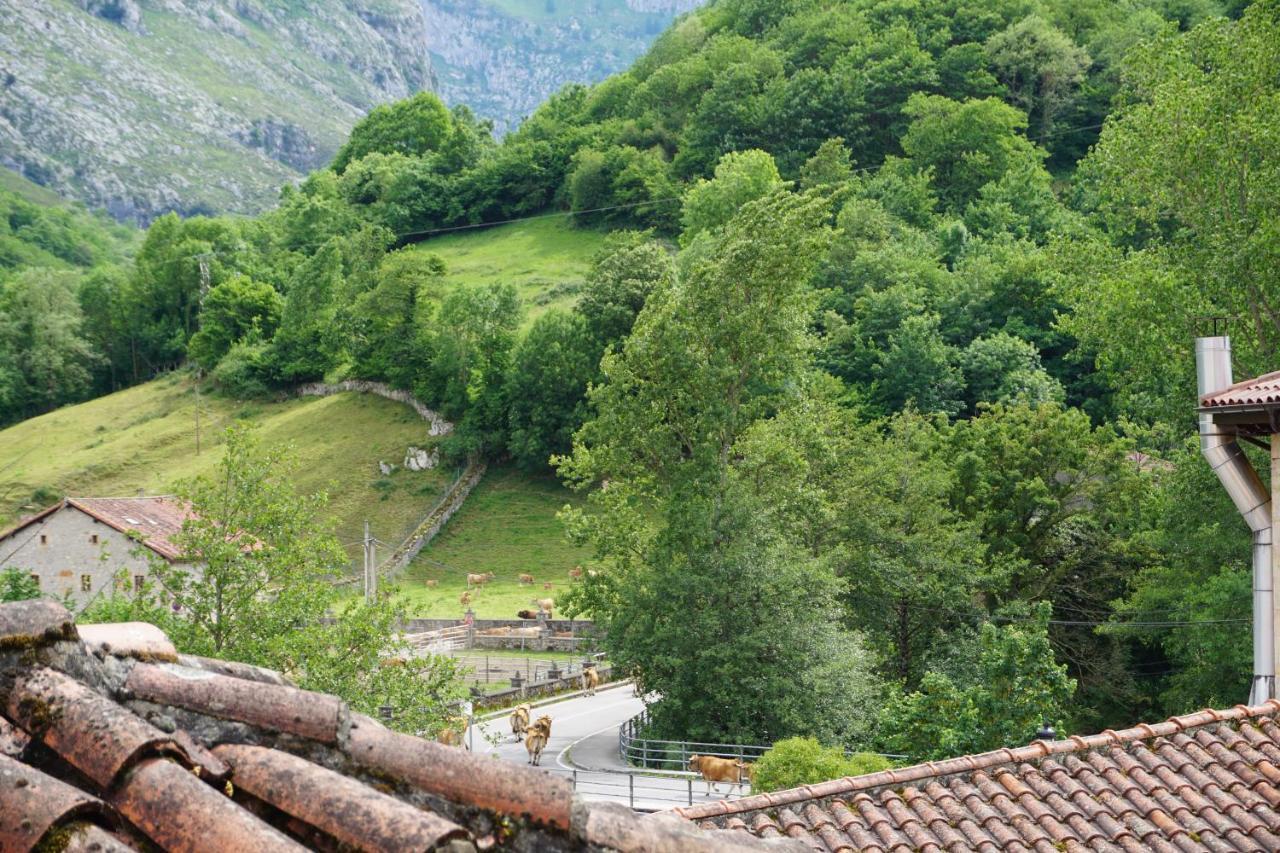 Apartahotel Montecaoru Arenas De Cabrales Dış mekan fotoğraf